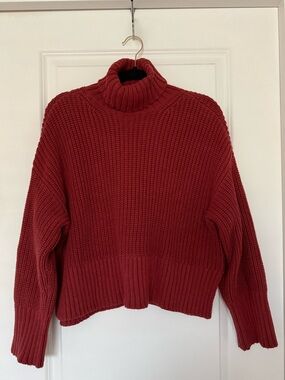 Madewell Brick Red Ribbed Turtleneck Sweater